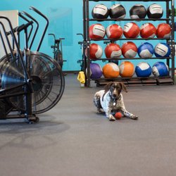 Redox CrossFit