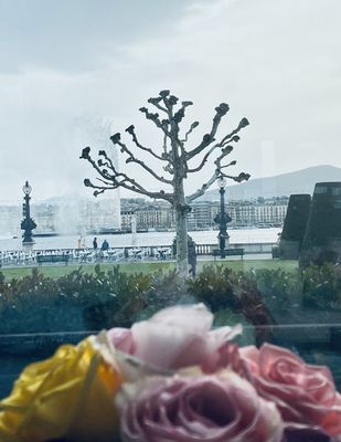 Hotel d'Angleterre Geneva by null