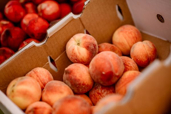 Orchard Farmers Market by null