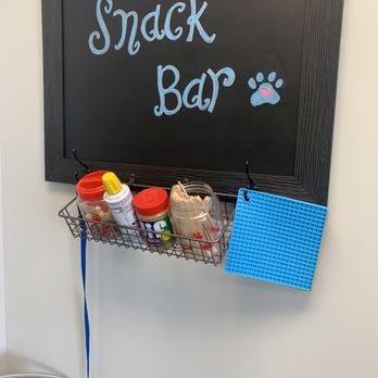 City Paws Veterinary Clinic - Veterinarians Near Me - St. Louis, Missouri