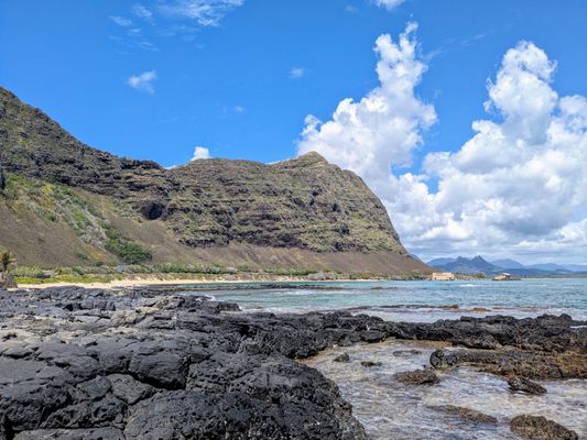 Makapuu Beach Park by null