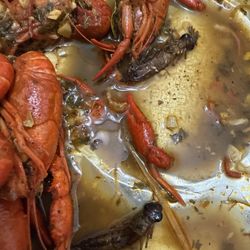 Craven Crawfish - Insects