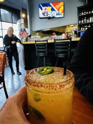 TWO GOATS & THE GOOSE by null