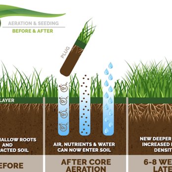 Handles With Care - a diagram of the benefits of a garden watering system - Lawn Services Near Me Handles With Care - a diagram of the benefits of a garden watering system - Lawn Services Near Me