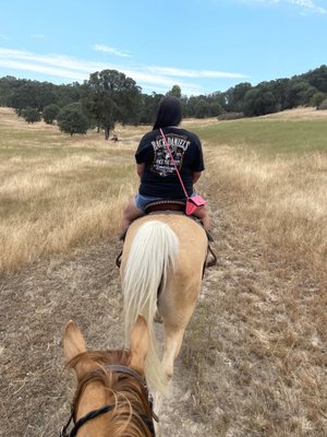 4 Horse Ranch by null