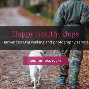 We are Barking Mad - We are Barking Mad Dog walking and pet photography - Pet Photography Near Me