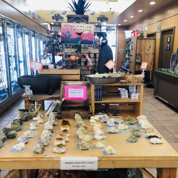 Shell - Gem rocks for sale! - Gas Stations Near Me - Nipton, California Shell - Gem rocks for sale! - Gas Stations Near Me - Nipton, California
