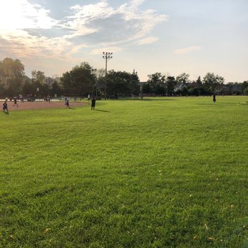 Shoshone Park - My last apartment is behind those trees - Parks Near Me - Buffalo, New York Shoshone Park - My last apartment is behind those trees - Parks Near Me - Buffalo, New York