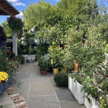 Meeting Green - Nurseries & Gardening Near Me - Charleston, South Carolina Meeting Green - Nurseries & Gardening Near Me - Charleston, South Carolina