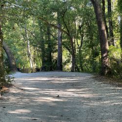 John B. Sargeant Wilderness Memorial Park - Walk