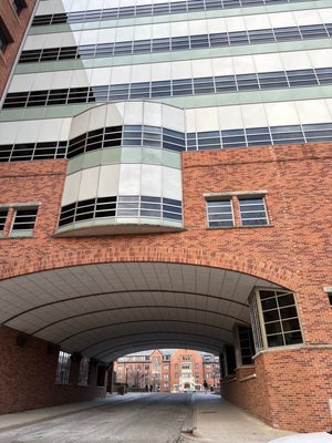 University of Michigan by null