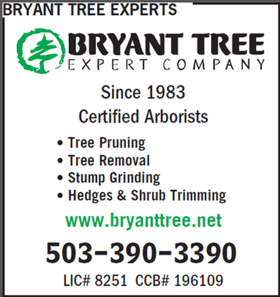 Bryant Tree Experts - tree service in Salem, OR