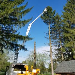 Suyker Tree Care - 75 Foot Bucket Truck