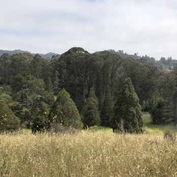 Seaview Trail At Inspiration Point - Beginning of the Seaview Trail - Hiking Near Me - Berkeley, California Seaview Trail At Inspiration Point - Beginning of the Seaview Trail - Hiking Near Me - Berkeley, California