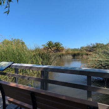 Neary Lagoon - Parks Near Me - Santa Cruz, California Neary Lagoon - Parks Near Me - Santa Cruz, California