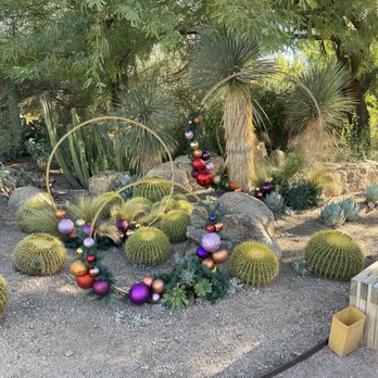 Desert Botanical Garden - Christmas decor - Botanical Gardens Near Me - Phoenix, Arizona