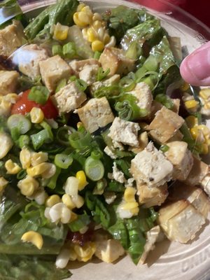 Forage Kitchen by null