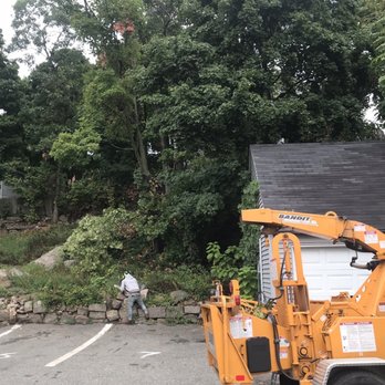 LT Tree Service - Removing fallen tree after storm. - Tree Services Near Me - Lynn, Massachusetts