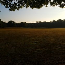 Field with small rolling hills