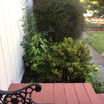 Kappel & Kappel - Rotted out dangerous wooden deck not to code and hazardous. I've learned where NOT to step - Property Management Near Me - Vacaville, California Kappel & Kappel - Rotted out dangerous wooden deck not to code and hazardous. I've learned where NOT to step - Property Management Near Me - Vacaville, California