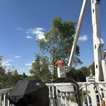 Dubois Tree Service - Dubois Tree Service - Tree Services Near Me - Manchester, New Hampshire