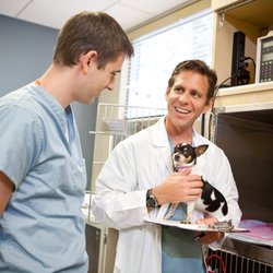 Pet Emergency & Specialty Center