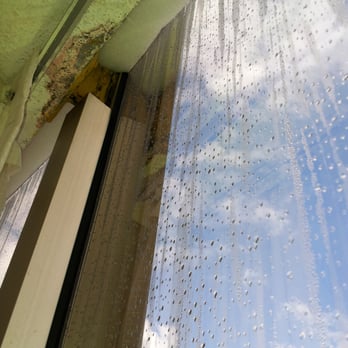 Hilton Memphis - This is what the ceiling to floor window looked like - moisture and mold - Hotels Near Me - Memphis, Tennessee Hilton Memphis - This is what the ceiling to floor window looked like - moisture and mold - Hotels Near Me - Memphis, Tennessee