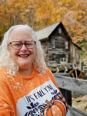 Babcock State Park by null