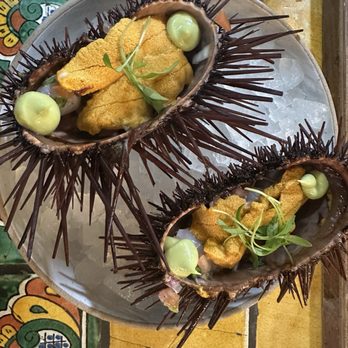 Holbox - Uni and scallops - Latin American Near Me - Los Angeles, California Holbox - Uni and scallops - Latin American Near Me - Los Angeles, California