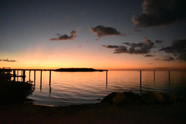 Mangrove Marina by null