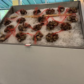FloraBelle - Raw oyster display (the chefs shucked them as the morning went on) - American Near Me - Amelia Island, Florida FloraBelle - Raw oyster display (the chefs shucked them as the morning went on) - American Near Me - Amelia Island, Florida