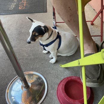Terracotta Wine Bistro - Pup friendly patio - Wine Bars Near Me - Santa Fe, New Mexico