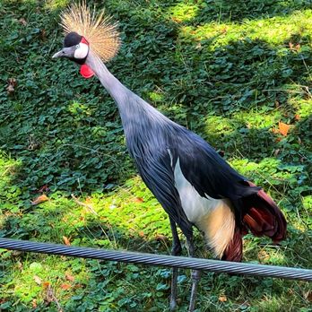 Milwaukee County Zoo - Zoos Near Me - Milwaukee, Wisconsin