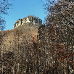 Pilot Knob Inn - Pilot Mountain