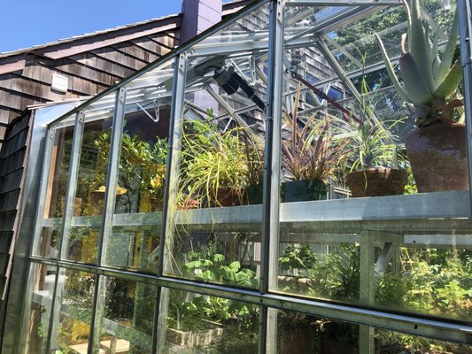 The Madoo Conservancy by null