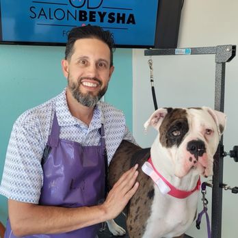Salon Beysha - Pet Groomers Near Me - Pacific Beach, California Salon Beysha - Pet Groomers Near Me - Pacific Beach, California