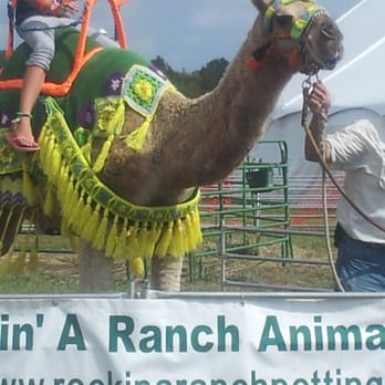 Peanut Festival - Camel - Festivals Near Me - Suffolk, Virginia Peanut Festival - Camel - Festivals Near Me - Suffolk, Virginia