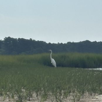 Assateague Explorer - Rafting/Kayaking Near Me - Chincoteague Island, Virginia