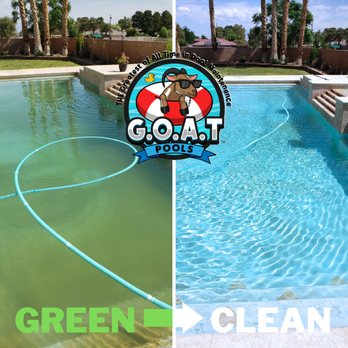 GOAT Pools - Las Vegas - 48 hours after we got the call of a green pool, THE GOAT came and got it back to clean that fast! - Pool & Hot Tub Service Near Me GOAT Pools - Las Vegas - 48 hours after we got the call of a green pool, THE GOAT came and got it back to clean that fast! - Pool & Hot Tub Service Near Me