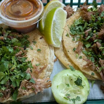 Cilantro - Tacos de Carnitas. Excellent, moist and flavorful. - Mexican Near Me - Winchester, Kentucky Cilantro - Tacos de Carnitas. Excellent, moist and flavorful. - Mexican Near Me - Winchester, Kentucky