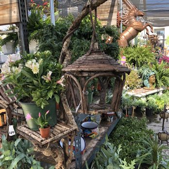 Plant Safari - Cute decor - Nurseries & Gardening Near Me - Upland, California Plant Safari - Cute decor - Nurseries & Gardening Near Me - Upland, California