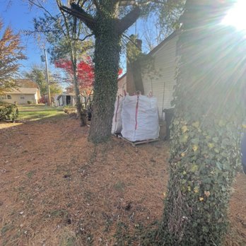 Tree Kings - Very convenient! - Firewood Near Me Tree Kings - Very convenient! - Firewood Near Me