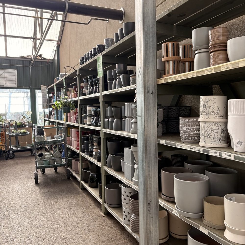 Pike Nurseries - Nurseries & Gardening Near Me - Cornelius, North Carolina
