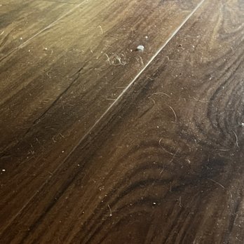 Oceanfront Lodge - From under the bed after room was air quote "cleaned" - Hotels Near Me - Crescent City, California