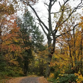 Minnewaska State Park Preserve - Carriage road - Trail MC (Picture taken on October 20th 2019) - Hiking Near Me - Kerhonkson, New York Minnewaska State Park Preserve - Carriage road - Trail MC (Picture taken on October 20th 2019) - Hiking Near Me - Kerhonkson, New York