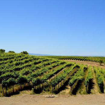 Matchbook Wine Company - The View - Wineries Near Me - Zamora, California Matchbook Wine Company - The View - Wineries Near Me - Zamora, California