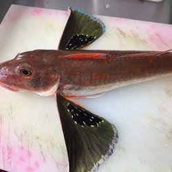 Rathgar Rd Takeaways - Gurnard fish