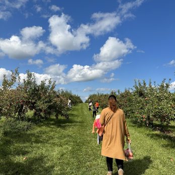 Stade's Farm & Market - More apple picking - Farmers Market Near Me - McHenry, Illinois Stade's Farm & Market - More apple picking - Farmers Market Near Me - McHenry, Illinois