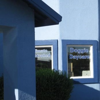 A-VIP Pet Resort - Pet Boarding Near Me - Las Vegas, Nevada