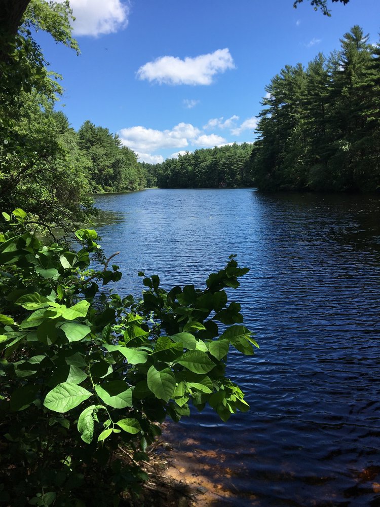 F Gilbert Hills State Forest 27 Photos & 13 Reviews Parks 45 Mill